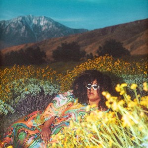 Brittany Howard - What Now (CD)