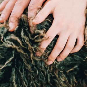 Divorce - Heady Metal (RSD 2024 Vinyl)