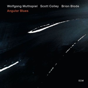 Wolfgang Muthspiel - Angular Blues (2018) (Vinyl)
