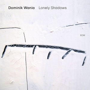 Dominik Wania - Lonely Shadows (2020) (Vinyl)
