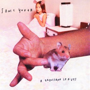 SONIC YOUTH-A THOUSAND LEAVES