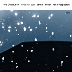 TORD GUSTAVSEN-WHAT WAS SAID