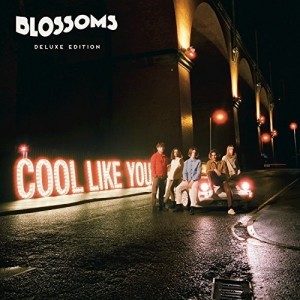 BLOSSOMS-COOL LIKE YOU DLX