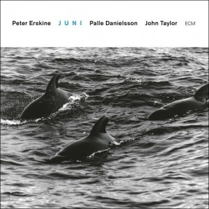 PETER ERSKINE-JUNI (1997) (CD)