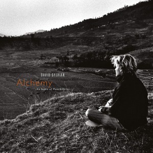 David Sylvian - Alchemy: An Index Of Possibilities (1985) (Vinyl)