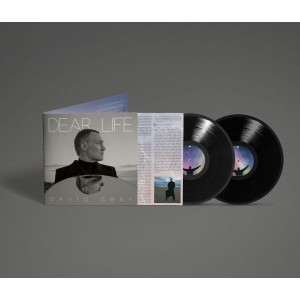 David Gray - Dear Life (2025) (2x Vinyl)
