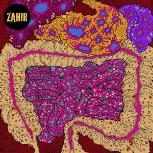 ZAHIR-WHAT NOISE?