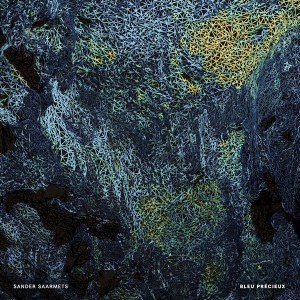 Sander Saarmets - Bleu Precieux (2025) (Vinüül)