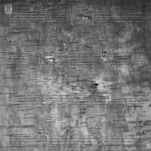 Timothy Archambault - Onimikig (2024) (Vinyl)