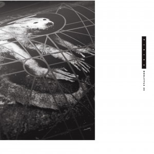 Pixies - Doolittle 25 (+ B-Sides, Peel Sessions & Demos)
