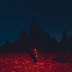 Phoebe Bridgers - Punisher (Vinyl)