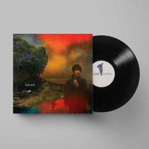 Sharon Van Etten - We´ve Been Going About This All Wrong (2022) (Vinyl)