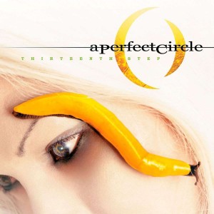 A PERFECT CIRCLE-THIRTEENTH STEP (CD)
