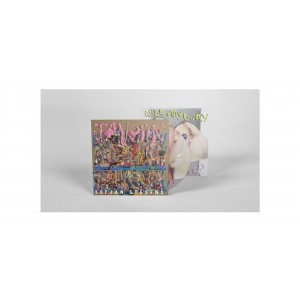 Sufjan Stevens - Javelin (2023) (Vinyl)