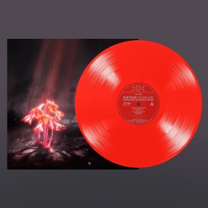 Enter Shikari - A Kiss for the Whole World (2023) (Vinyl)