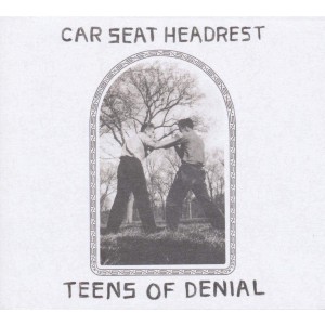 CAR SEAT HEADREST-TEENS OF DENIAL (CD)