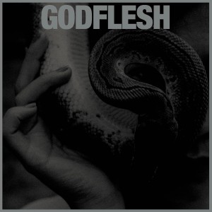 Godflesh - Purge (2023) (Vinyl)