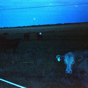 Waveform* - Antarctica (2023) (Dark Blue Vinyl)
