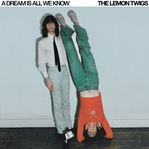 THE LEMON TWIGS-A DREAM IS ALL WE KNOW (ICE CREAM VINYL)