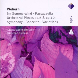 WEBERN-IM SOMMERWIND / PASSACAGLIA (CD)