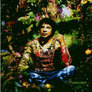 Laurent Voulzy - Saisons (CD)