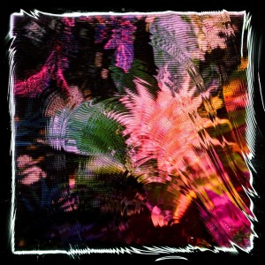 Camila Fuchs - Kids Talk Fun (Vinyl)