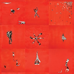 Animal Collective - Hollindagain (Vinyl)