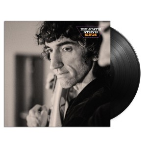 Delicate Steve - Delicate Steve Sings (2024) (Vinyl)