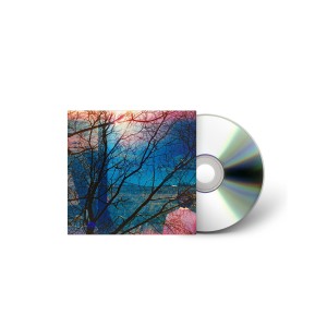 Idlewild - Idlewild (2025) (CD)