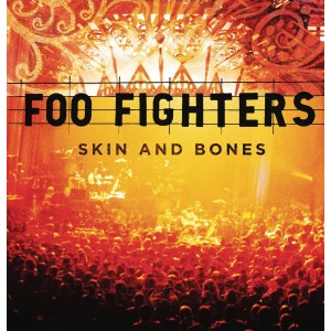 Foo Fighters - Skin And Bones (Vinyl)