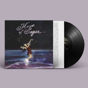 (Sandy) Alex G - House Of Sugar (Vinyl)