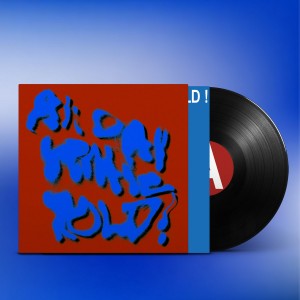 Porches - All Day Gentle Hold ! (Vinyl)