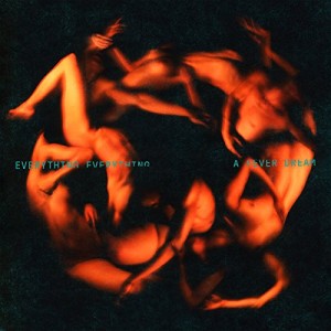 Everything Everything - A Fever Dream (2017) (CD)
