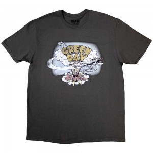 GREEN DAY DOOKIE GREY  L