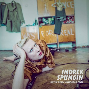 Indrek Spungin - Lahtise peaga ahvinäoga poiss (Vinüül)