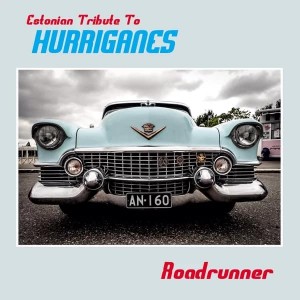 Erinevad esitajad - Estonian Tribute to Hurriganes: Roadrunner (2024) (CD)