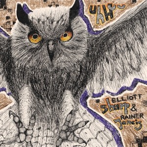 Rainer Jancis & Elliot Sharp - Uhhuu (2025) (CD)