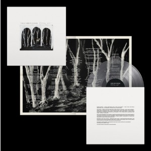 These New Puritans - Crooked Wing (2025) (Clear Vinyl)