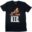 BIGTS14MB04