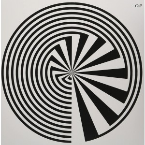 Coil - Constant Shallowness Leads To Evil (Vinyl)