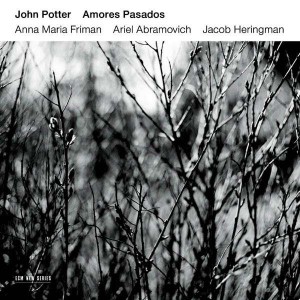 JOHN POTTER-AMORES PASADOS (2014) (CD)
