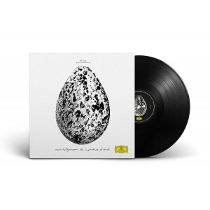 Snorri Hallgrímsson - The Importance of Birds (2025) (Vinyl)