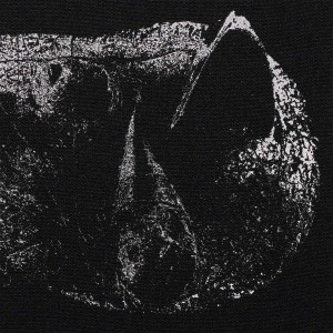DEMON HEAD-VISCERA (DIGISLEEVE) (CD)