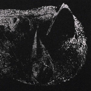 Demon Head - Viscera (Digisleeve) (CD)