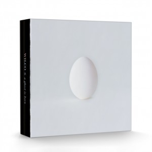 Wilco - A Ghost Is Born (2004) (20th Anniversary Deluxe) (9x Vinyl + 4CD)