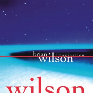 Brian Wilson - Imagination (1998) (RSD 2026) (Vinyl)