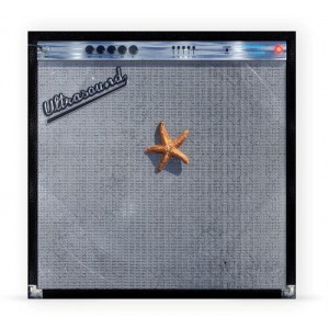 Neighbourhood - Ultrasound (2026) (Deluxe) (2x Orange Vinyl)