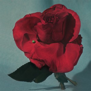 Metz - Up On Gravity Hill (CD)