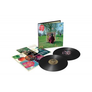 SYD BARRETT-AN INTRODUCTION TO SYD BARRETT