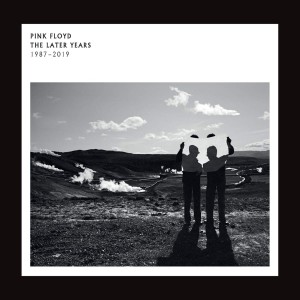 PINK FLOYD-THE LATER YEARS 1987-2019 (2x VINYL)